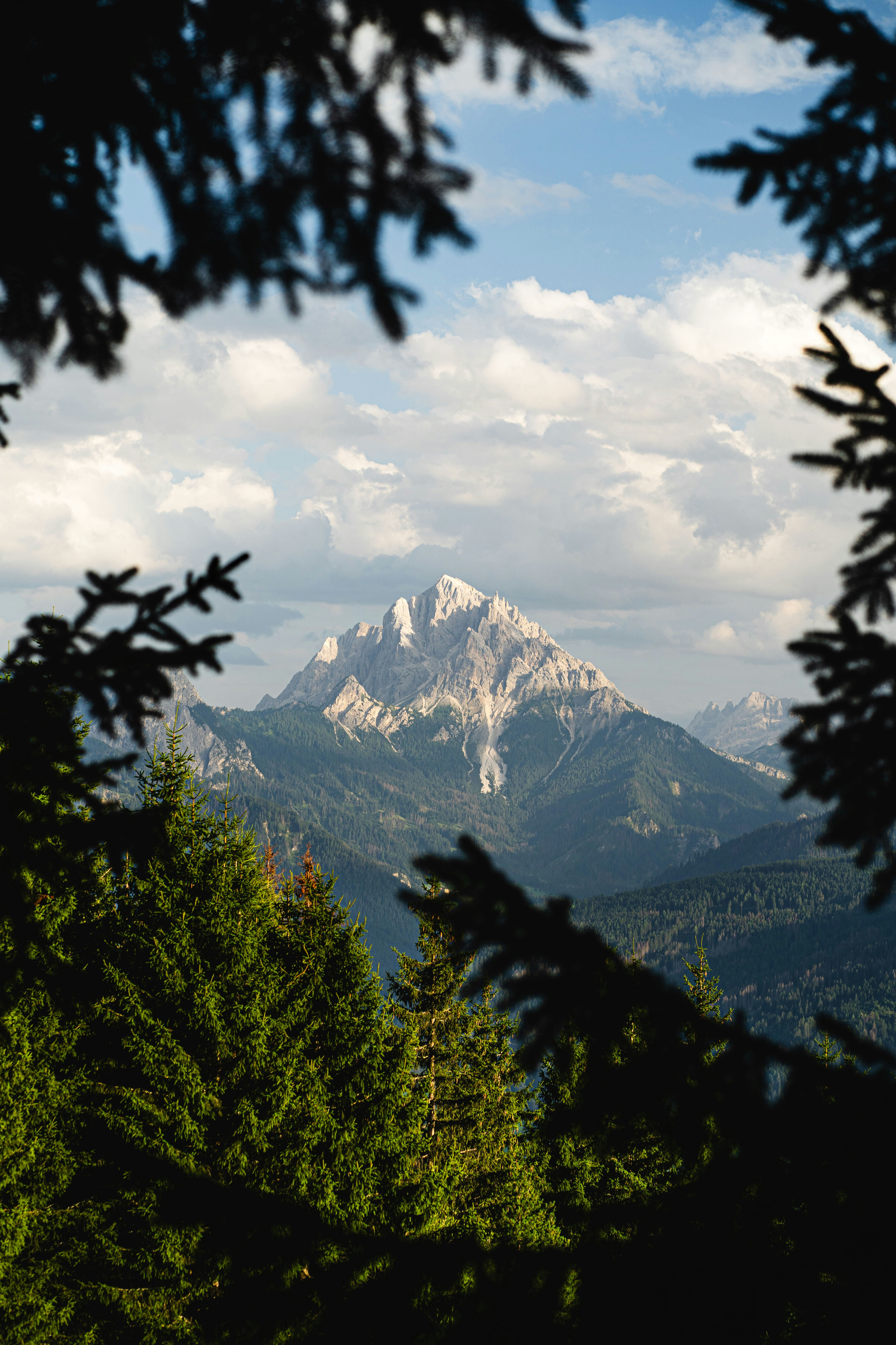 The Dolomites' limestone peaks framed by pine trees
