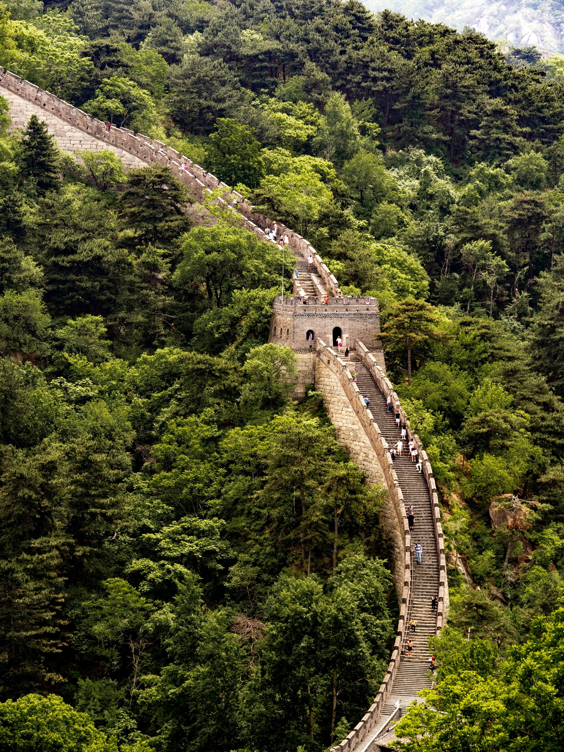 The Great Wall of China winding across forested mountain ridges