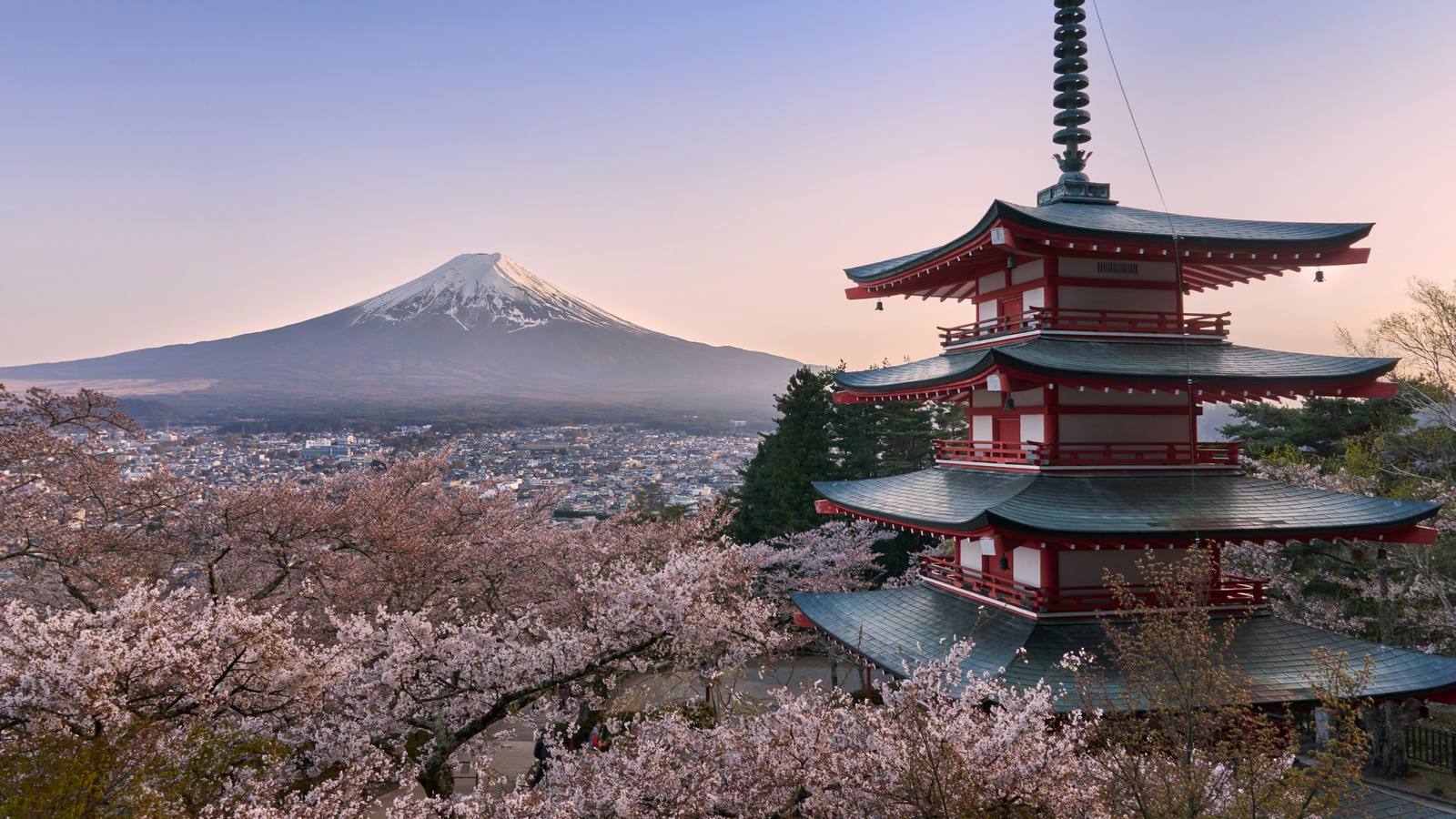The five-storey Chureito Pagoda above Fujiyoshida with Mount Fuji behind it and cherry blossoms in the foreground, Japan