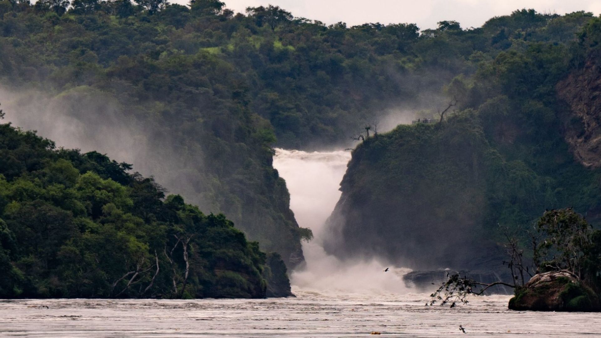 The Nile bursting through the narrow rock gorge at Murchison Falls, Uganda, between forested cliffs