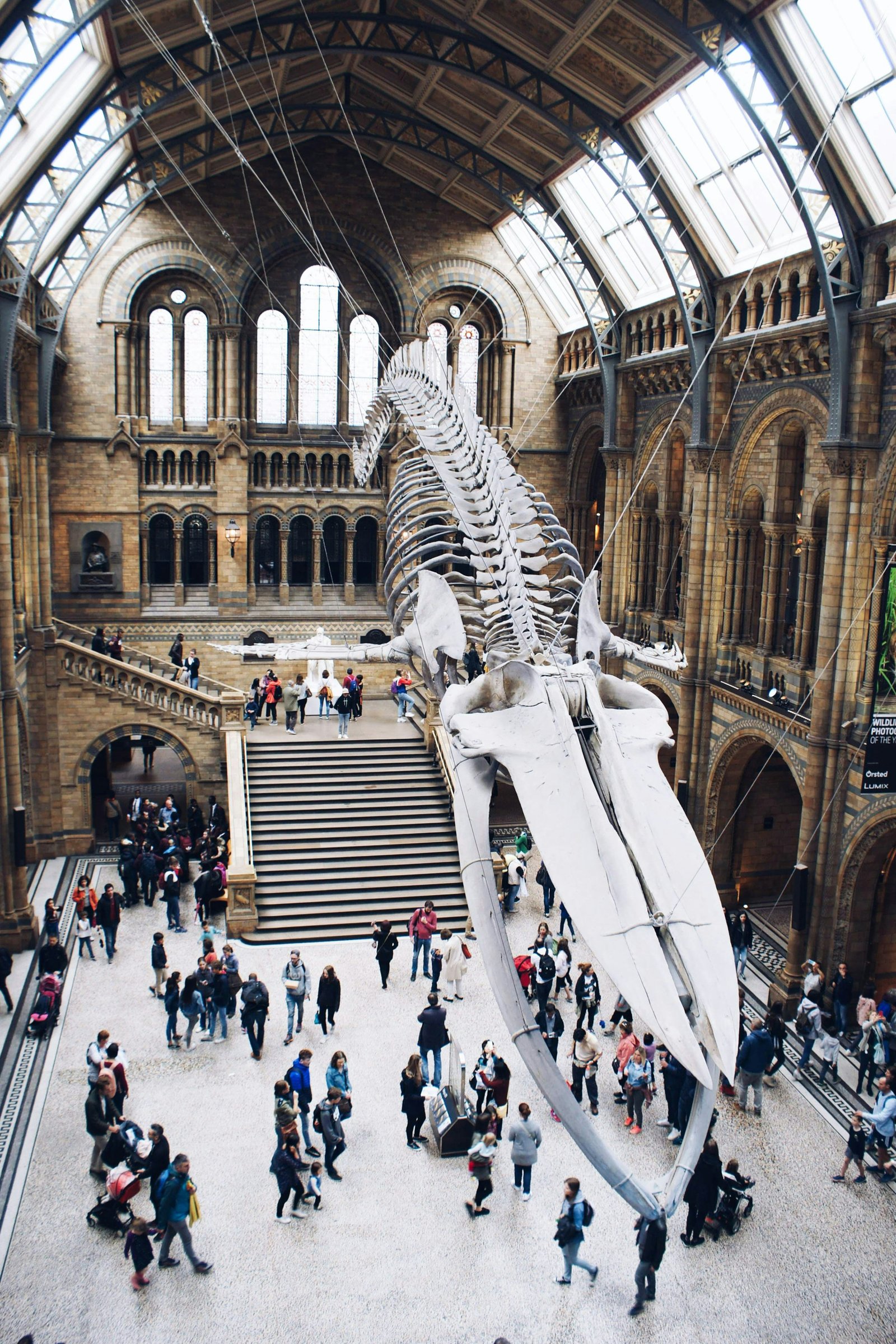 The Natural History Museum's ornate stone facade in London