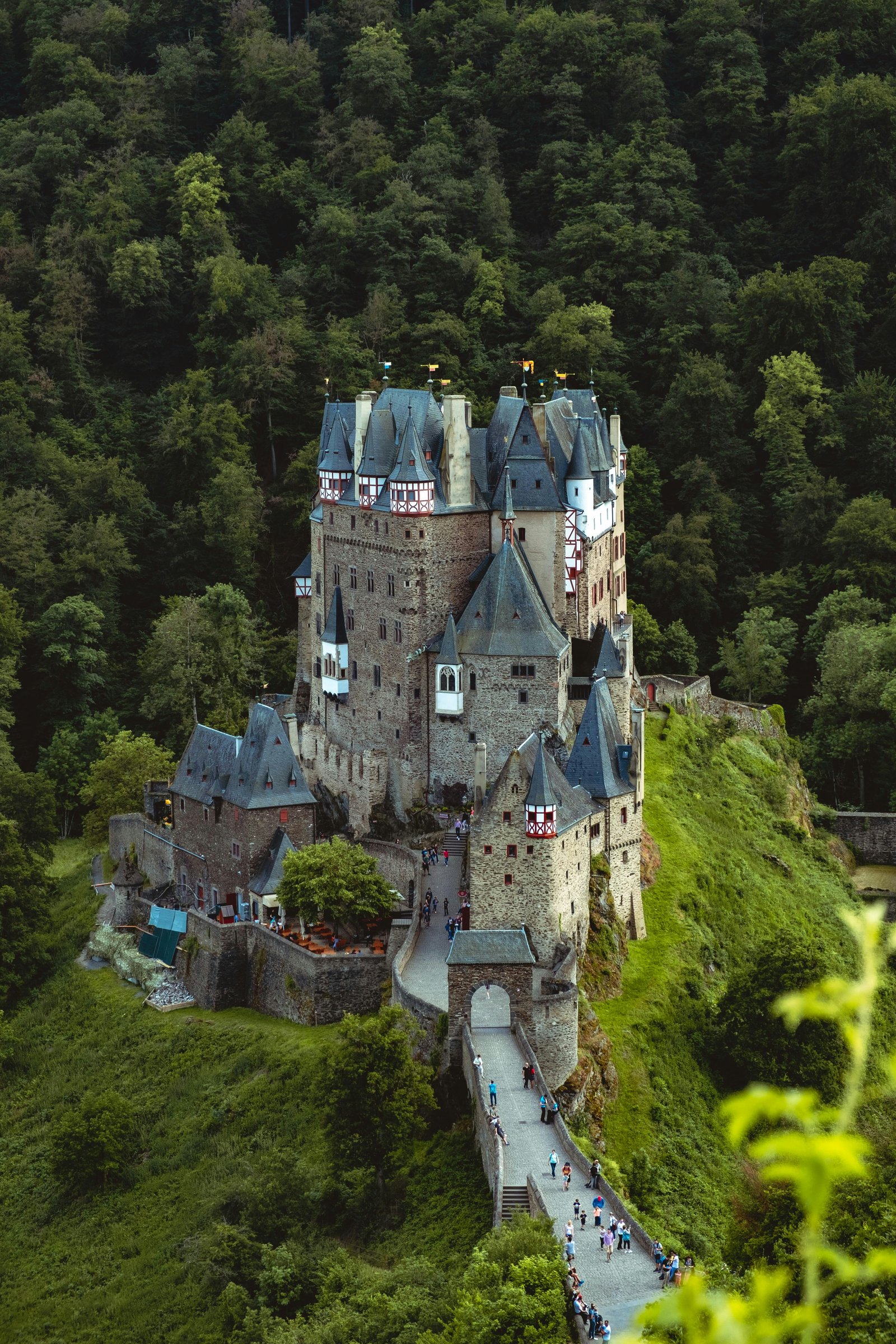 Neuschwanstein Castle perched on a hill in the Bavarian Alps